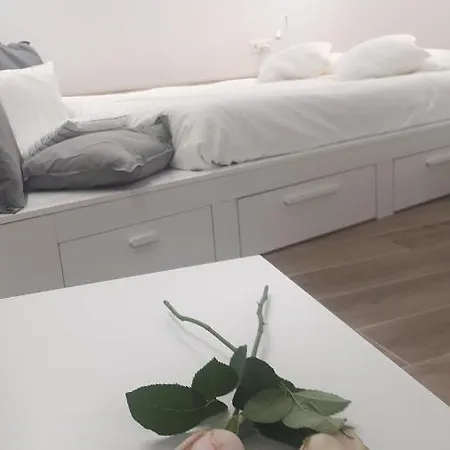 Cal Dalmau Loft Apartment *